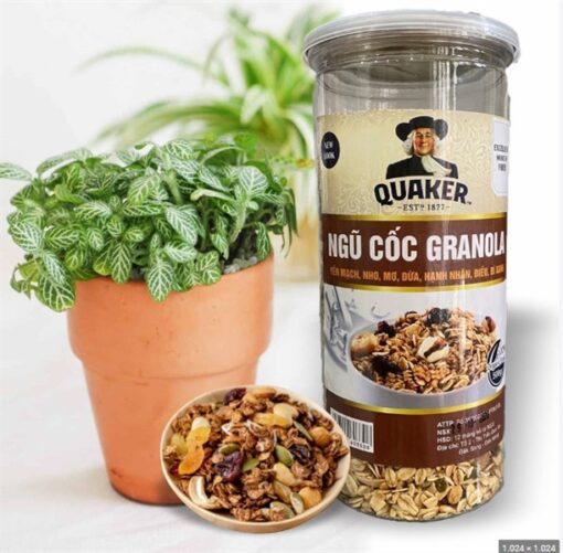 Ngũ cốc Granola - hũ 500g