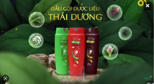 Dầu gội dược liệu Thái Dương 7, Thái Dương 3 Chai 200ml